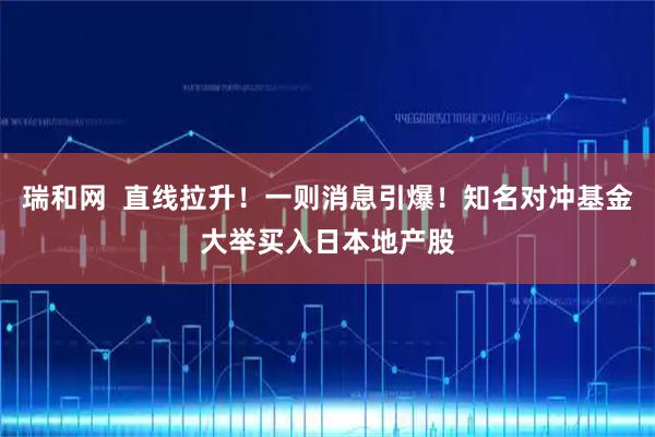 瑞和网  直线拉升！一则消息引爆！知名对冲基金大举买入日本地产股