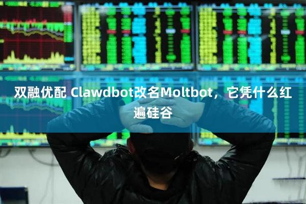 双融优配 Clawdbot改名Moltbot，它凭什么红遍硅谷