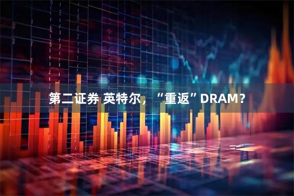 第二证券 英特尔，“重返”DRAM？