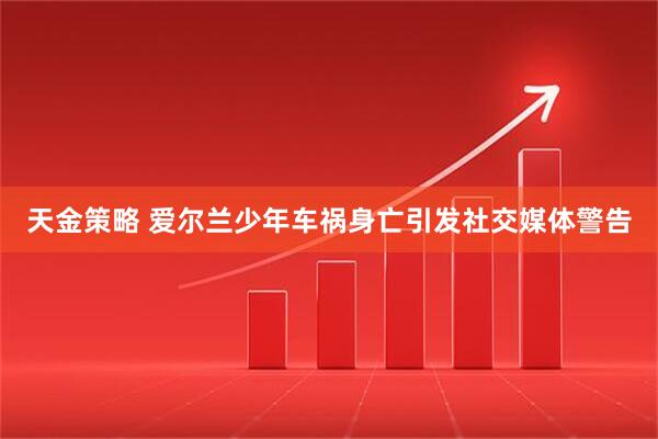 天金策略 爱尔兰少年车祸身亡引发社交媒体警告